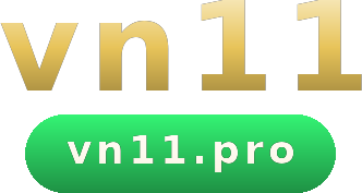 vn11 logo
